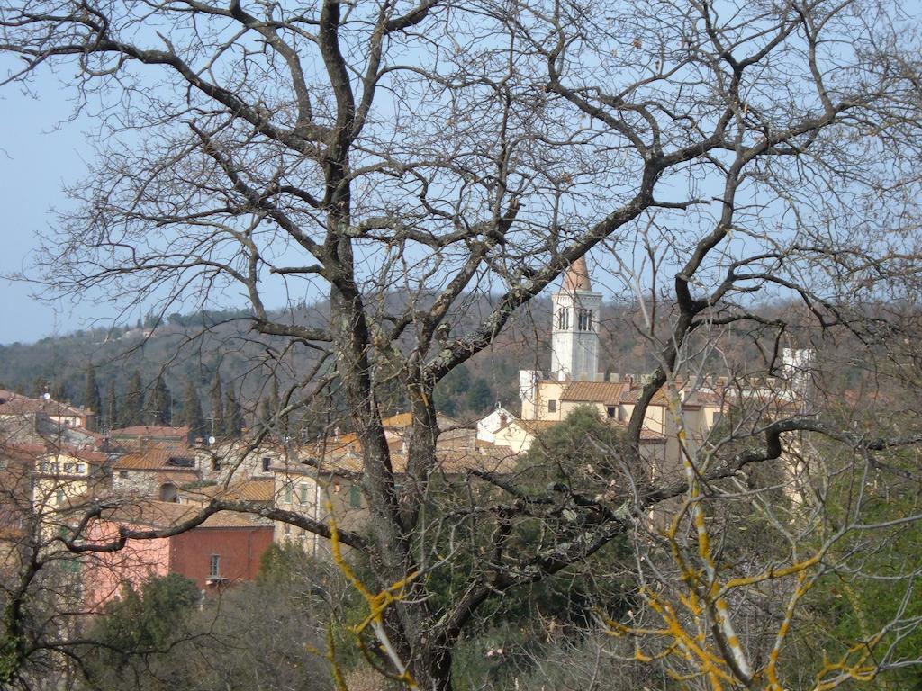 Casa Titty Διαμέρισμα Serre Di Rapolano Δωμάτιο φωτογραφία